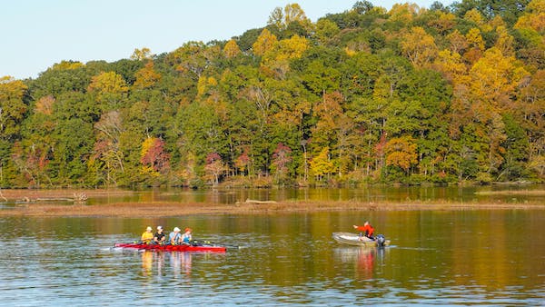 free-photo-of-kayaking-team-passed-by-a-motorboat-on-the-river-by-the-forest
