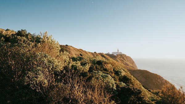 pexels-photo-14683077